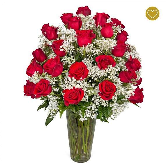 3 Dozen Roses Red