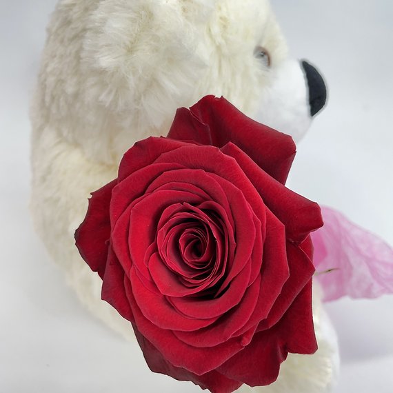 Beary Sweet Bundle