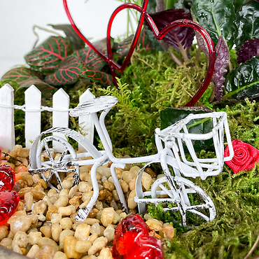 8\" Fairy Garden