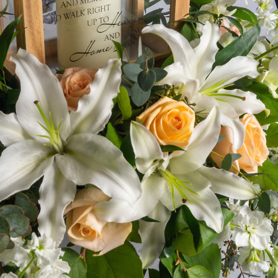 Peaceful Peach Tribute