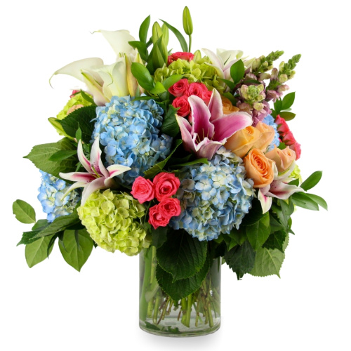 Avondale Jacksonville Fl 32205 Florist Local Flower Delivery By Cattleya European Floral