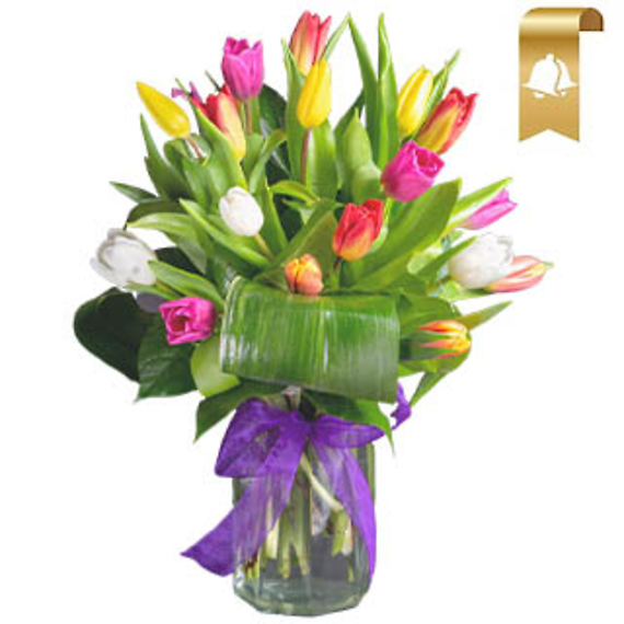 20 Assorted Tulips