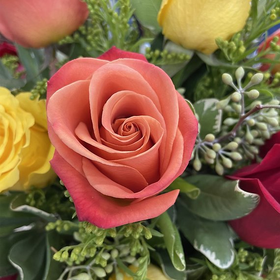 Modern Fall Roses