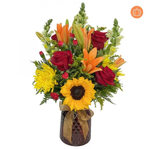 Bountiful Delights Package