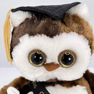 Wisdom Graduation Owl
