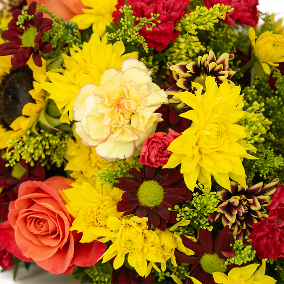 Cornucopia For Fall