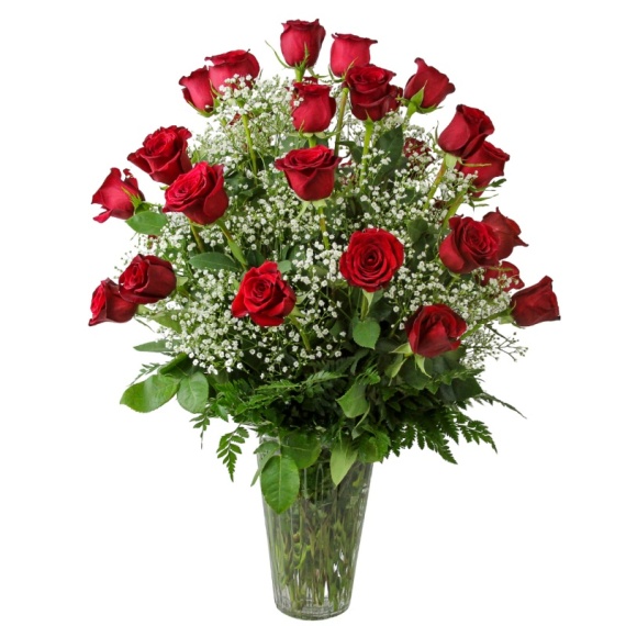 3 Dozen Red Sympathy Roses