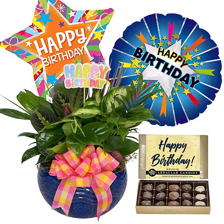 Natures Birthday Hug