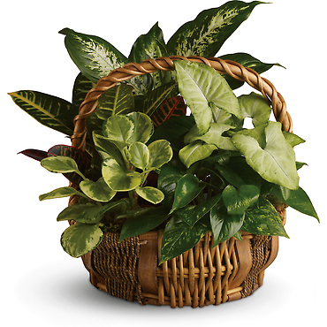 Emerald Garden Basket