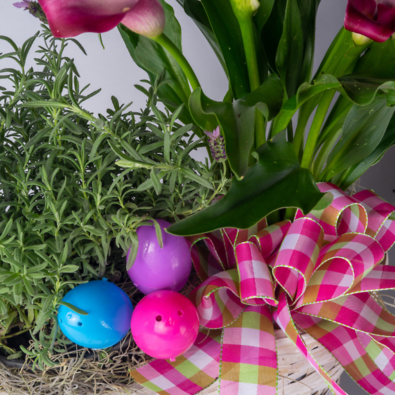 Calla Lily & Lavender Planter