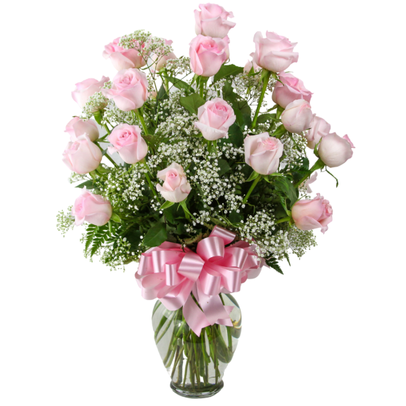 2 Dozen Roses Pink