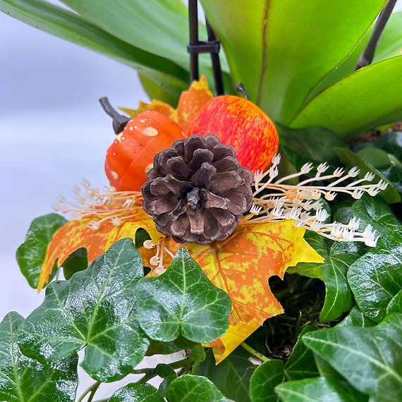 Fall Orchid & Ivy
