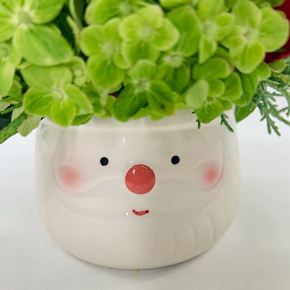 Santa\'s Best Friend