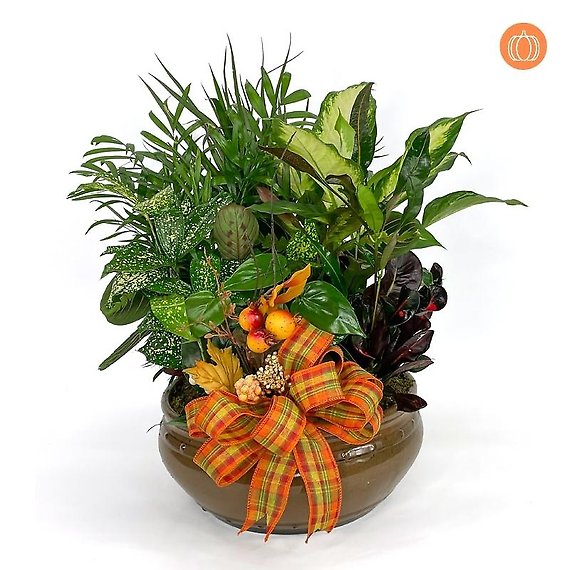 Thankful Fall Package