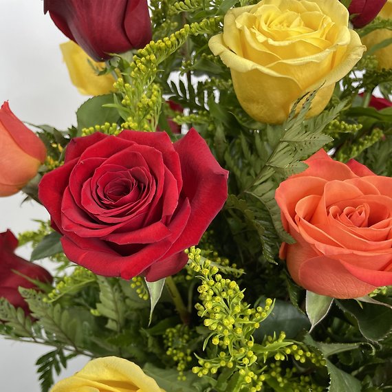 2 Dozen Classic Fall Roses