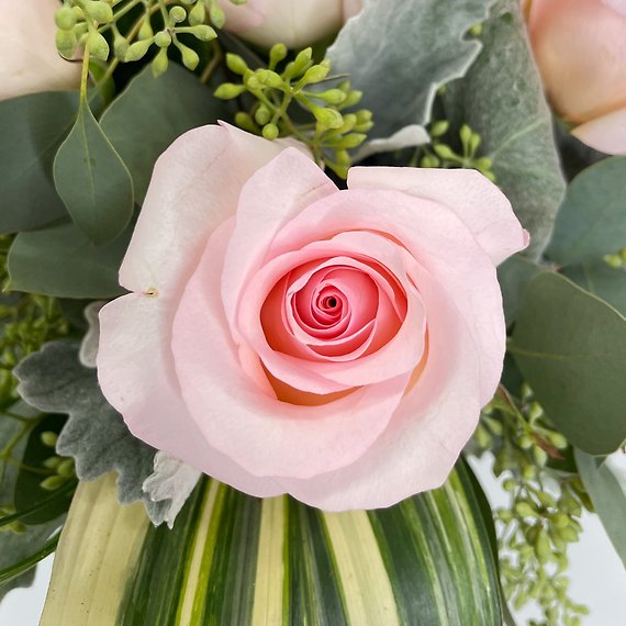 Pink Traditions