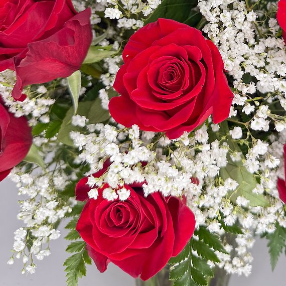3 Dozen Roses Red