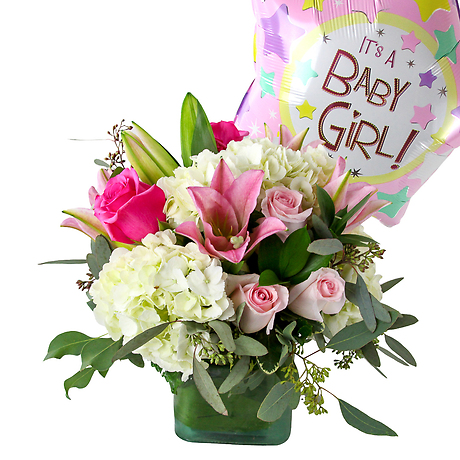 Stork Delivery Baby Girl