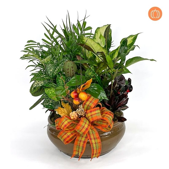 10\" Fall Ceramic Dish Garden