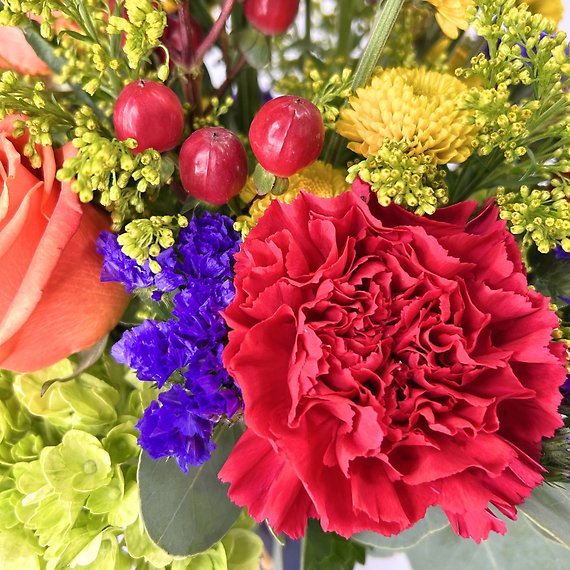 Colorful Appreciation