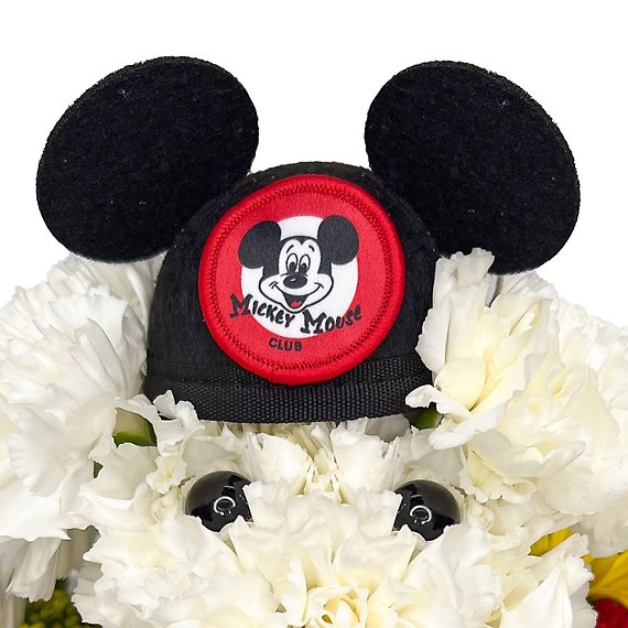 Mickey\'s Pal