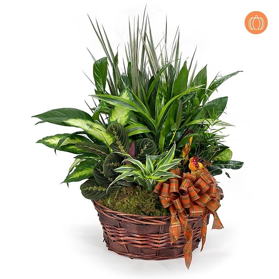X-Large Fall Basket