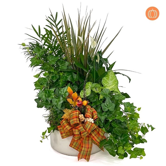 12\" Fall Ceramic Dish Garden