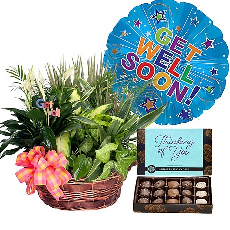 Plant & Positivity Bundle