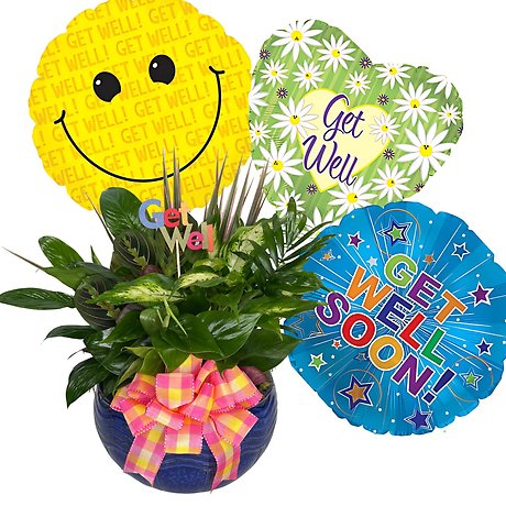 Wellness & Wishes Package