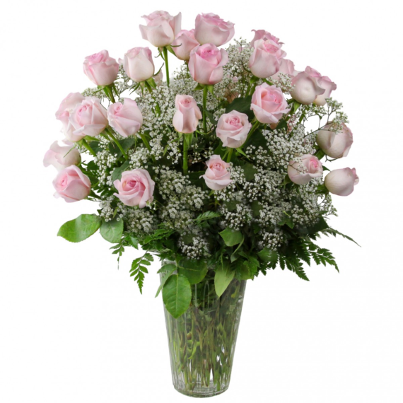 3 Dozen Roses Pink