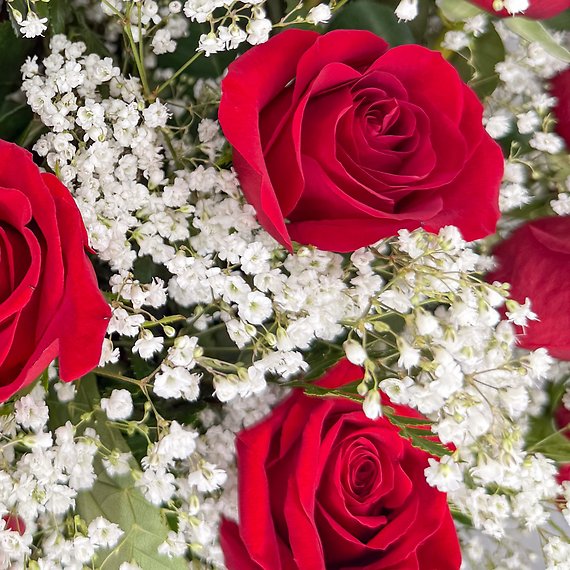 3 Dozen Roses Red