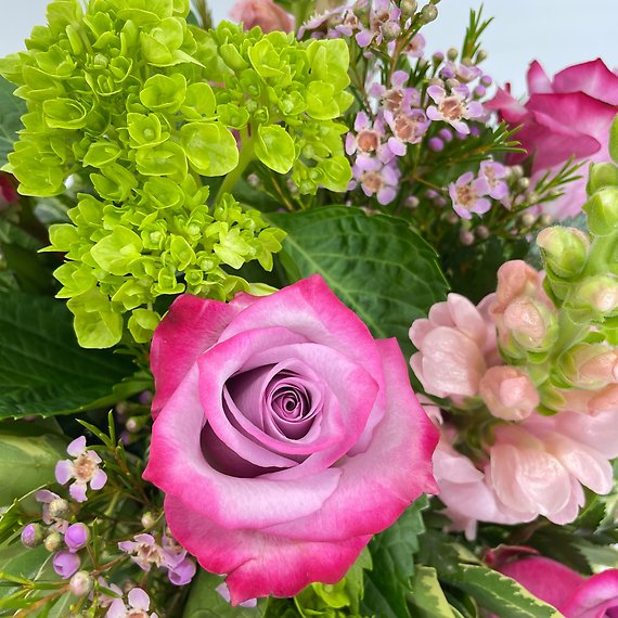 Mother\'s Day Delight