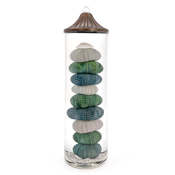 Lifetime Candle - Sea Urchin XL Cylinder