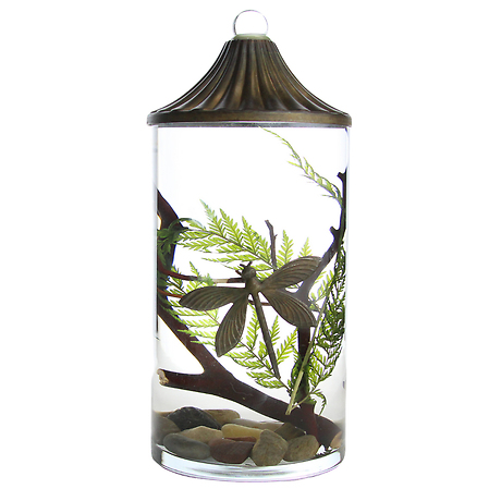 Lifetime Candle - Dragonfly Cylinder