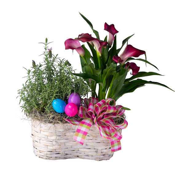 Calla Lily & Lavender Planter