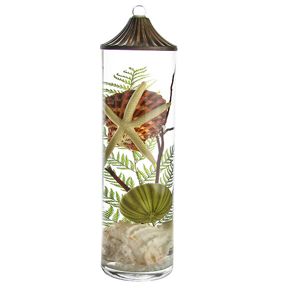 Lifetime Candle - Seashell XL Cylinder