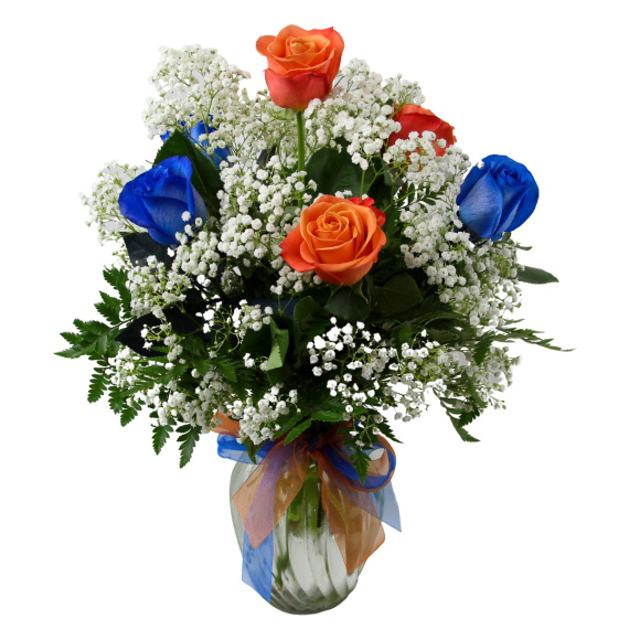 1/2 Dozen Roses Florida Gator Colors