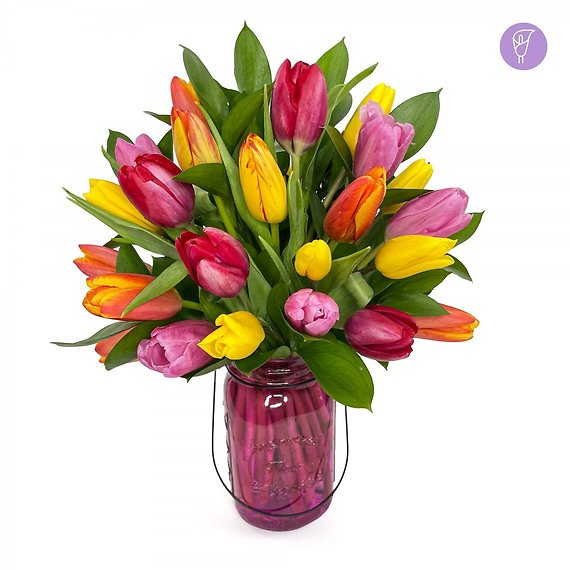 Tulip Garden