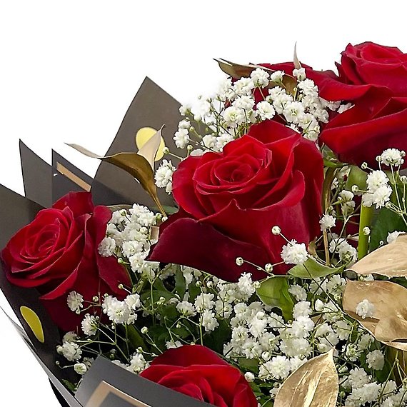 School Spirit Roses