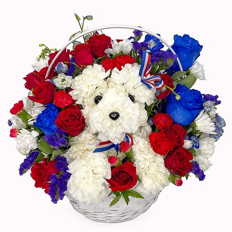 Yankee Doodle Poodle