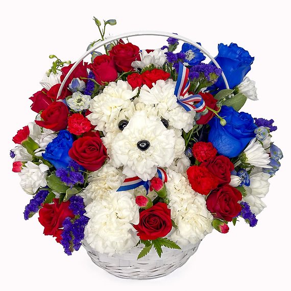Yankee Doodle Poodle