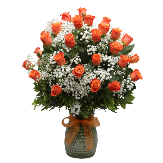 3 Dozen Roses Orange