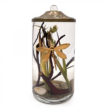 Lifetime Candle - Dragonfly Cylinder