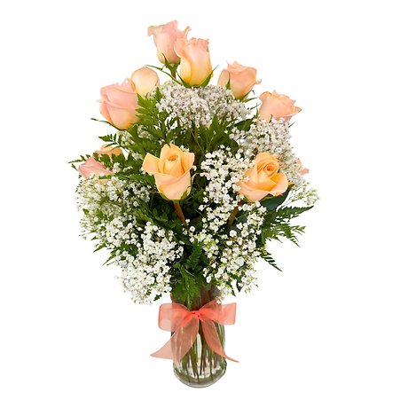 1 Dozen Roses Peach