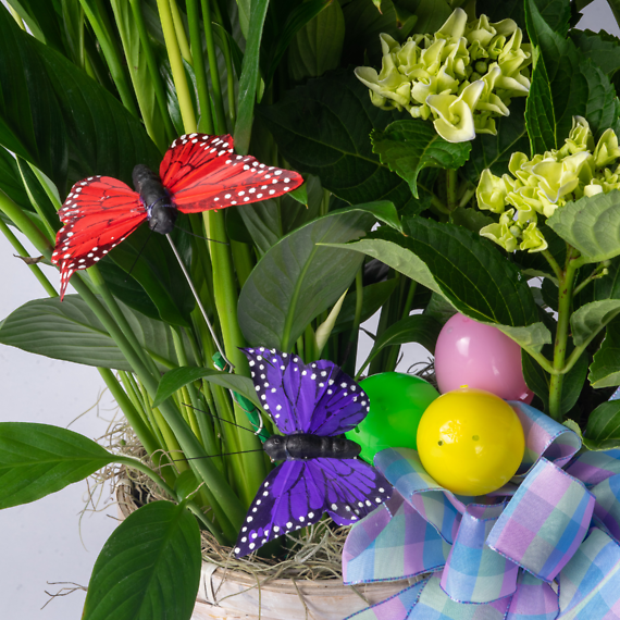 Hydrangea & Peace Lily Planter