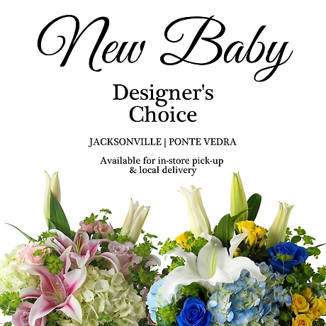 New Baby Designer\'s Choice