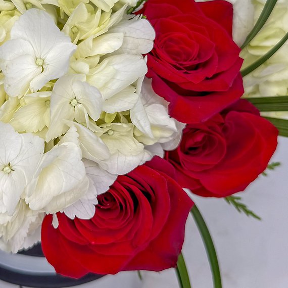 Santa\'s Best Friend