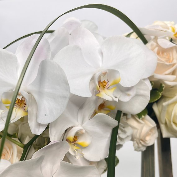 Whispering Grace Wreath
