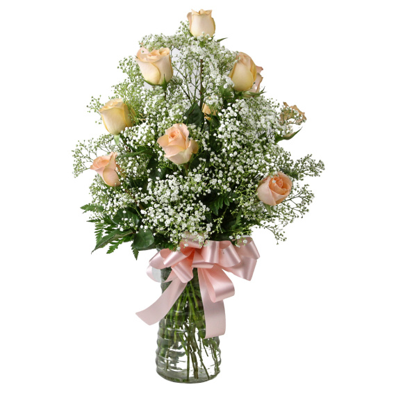 1 Dozen Roses Peach