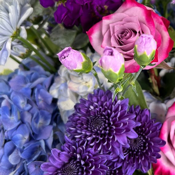Lavender Dreams